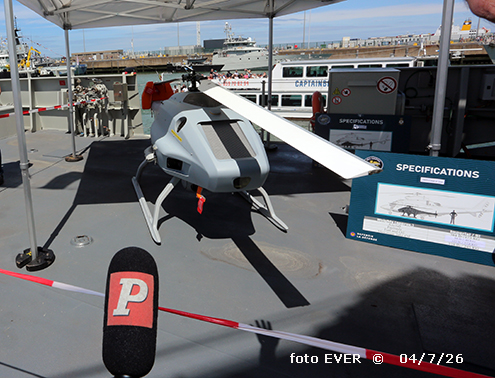 **Skeldar**